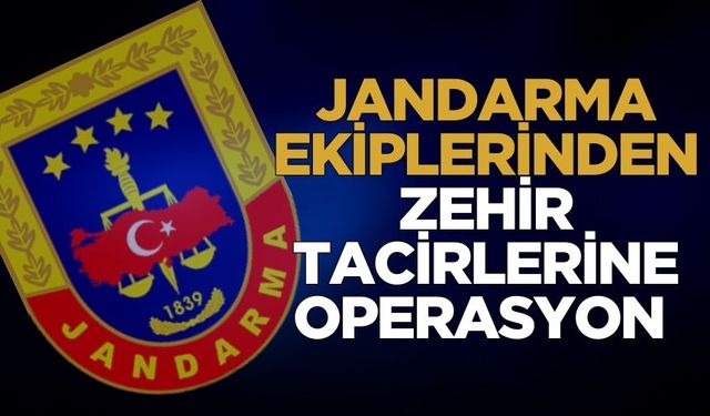 Jandarmadan uyuşturucu operasyonu