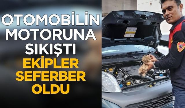 Otomobilin motoruna giren kediyi ekipler kurtardı