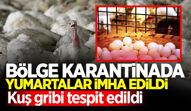 Bölge karantinaya alındı, hepsi derhal imha edildi!