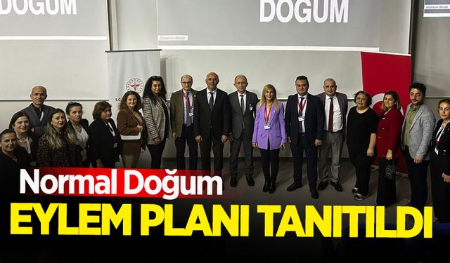 Zonguldak'ta normal doğum eylem planı tanıtıldı