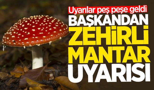 Uyarılar peş peşe geldi: Başkandan zehirli mantar uyarısı!