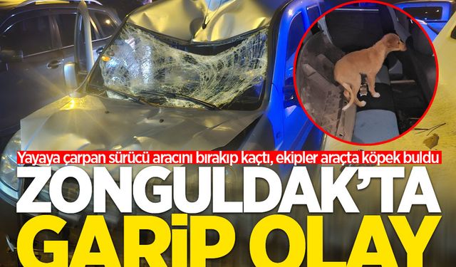 Yayaya çarpan sürücü aracını bırakıp kaçtı, ekipler araçta köpek buldu