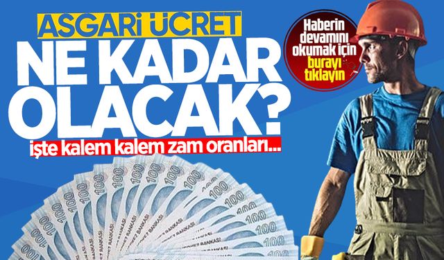 2025 ASGARİ ÜCRET ZAMMI: Yeni yılda asgari ücret ne kadar olacak?