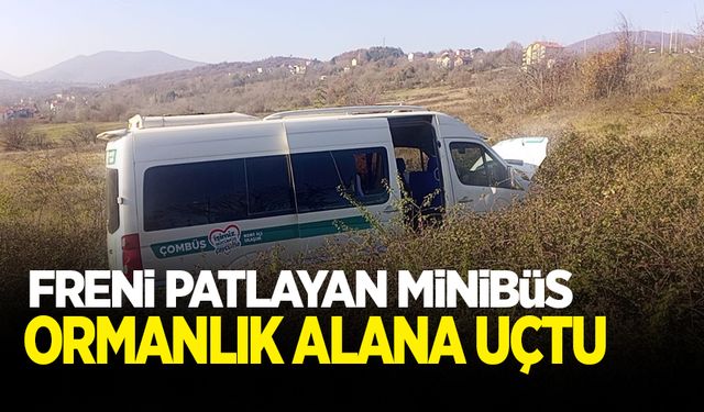 Freni boşalan minibüs ormana uçtu