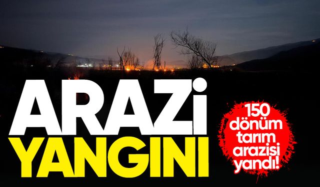 Arazi yangınında 150 dönüm tarım arazisi yandı!