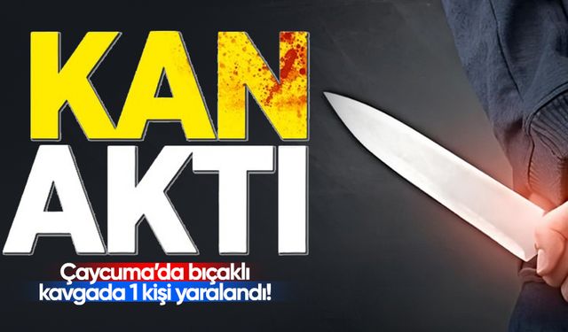 Çaycuma'da bıçaklı dehşet: 1 kişi yaralandı!