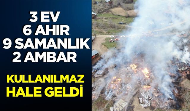Yangında 3 ev, 6 ahır, 9 samanlık ve 2 ambar kullanılamaz hale geldi