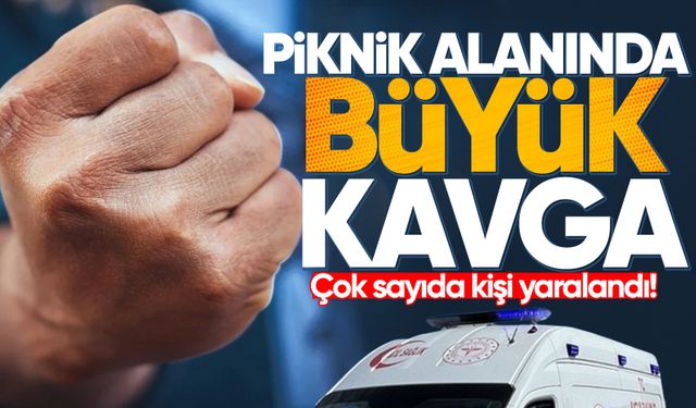 Piknik alanında büyük kavga: Çok sayıda kişi yaralandı!