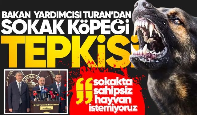 Bakan Yardımcısı Turan: "Sokağın güvenliği esastır, sokakta sahipsiz hayvan istemiyoruz"