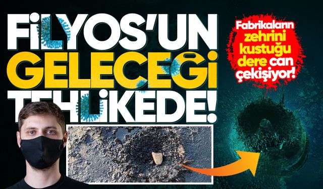 Filyos’un geleceği tehlikede: Fabrikaların zehrini kustuğu dere can çekişiyor!