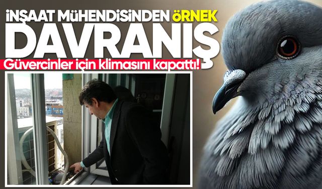İnşaat mühendisinden örnek davranış: Güvercinler için klimasını kapattı!