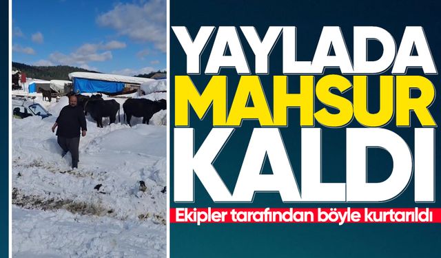 Yaylada hayvanlarıyla mahsur kalan vatandaş böyle kurtarıldı