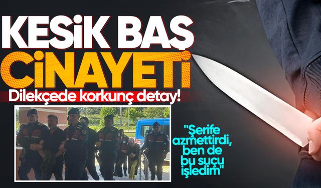 Kesik baş cinayetinde korkunç detay: "Şerife azmettirdi, ben de bu suçu işledim"