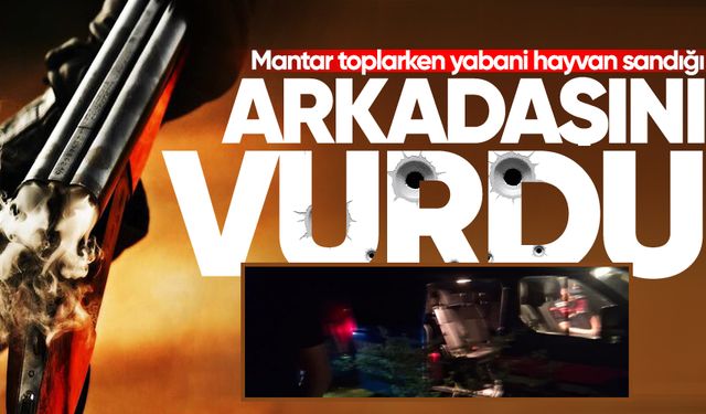 Mantar toplarken yabani hayvan sandığı arkadaşını av tüfeğiyle vurdu