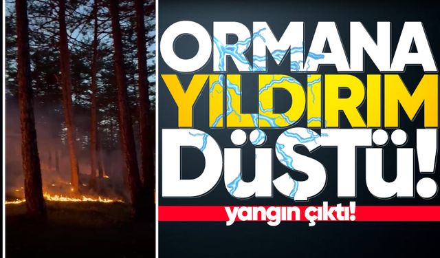 Ormanlık alana düşen yıldırım yangına neden oldu