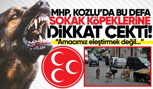 MHP, Kozlu'da bu defa sokak köpeklerine dikkat çekti!