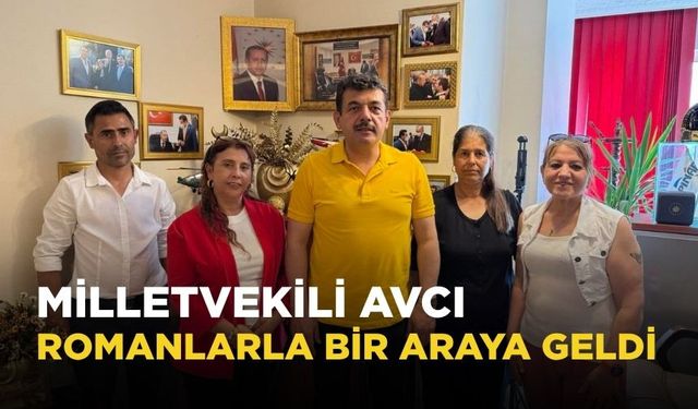 Milletvekili Avcı Romanlarla bir araya geldi
