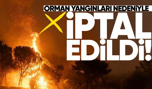 Devrek Baston ve Kültür Festivali, yangın felaketleri nedeniyle iptal edildi
