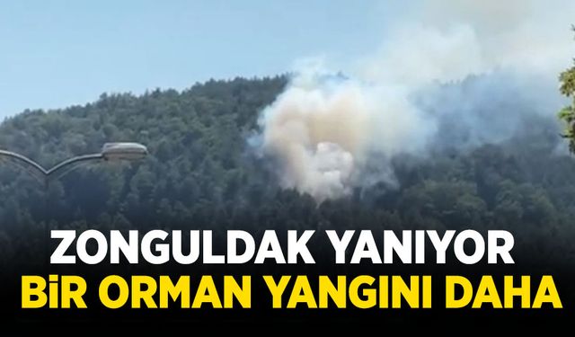 Zonguldak'ta bir orman yangını daha