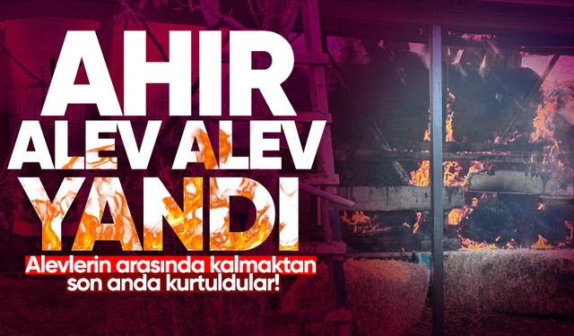 Ahır alev alev yandı: Son anda kurtuldular!