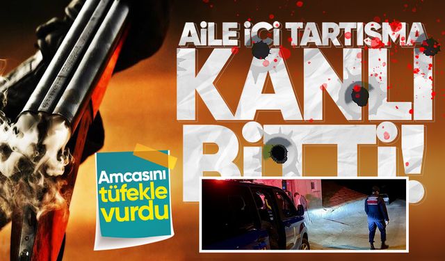 İlçede korkunç gece: Amcasını tüfekle vurdu!