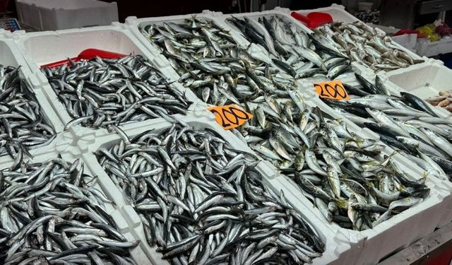 Balık artan fiyatıyla vatandaşı üzdü!