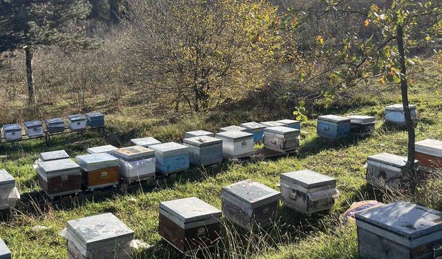 TKDK Zonguldak sahada: Ereğli’deki arıcılık işletmeleri mercek altında