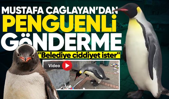 Çağlayan'dan penguenli gönderme: "Belediye ciddiyet ister"