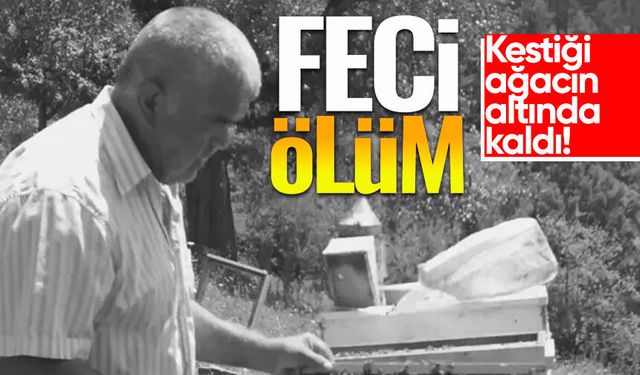 Kestiği ağacın altında can verdi!