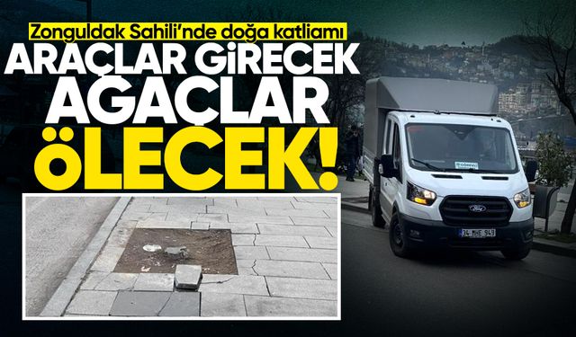 Zonguldak Sahili’nde doğa katliamı: Araçlar girecek, ağaçlar ölecek!
