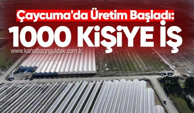 Çaycuma'da Üretim Başladı: 1000 Kişiye İş
