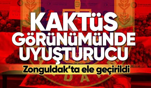 Evde kurulan düzenek ortaya çıktı