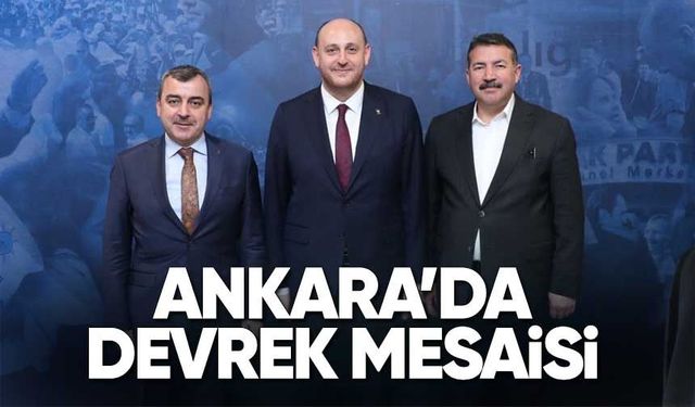 Devrek Projeleri Masada