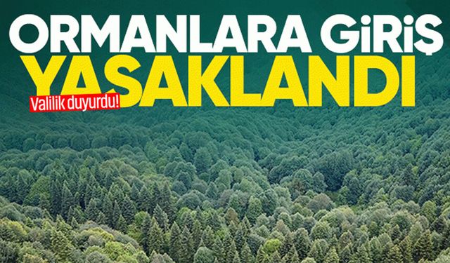 Valilik duyurdu: Ormanlara giriş 5 ay yasaklandı!