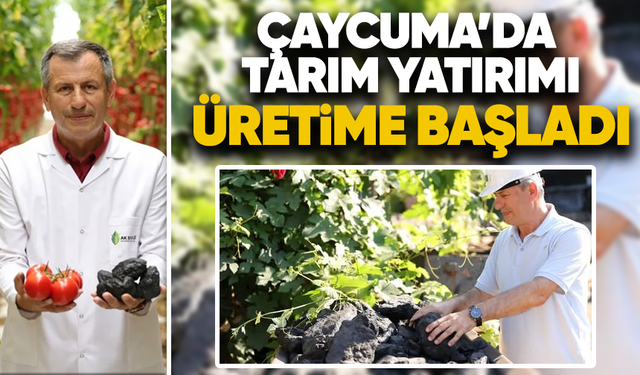Çaycuma'da tarım yatırımı üretime başladı