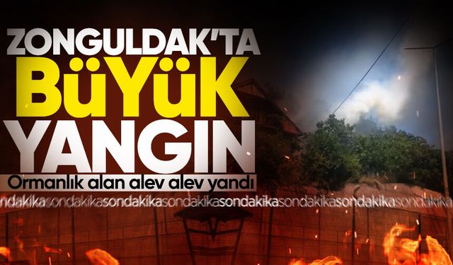 Zonguldak'ta büyük yangın: Ormanlık alan alev alev yandı