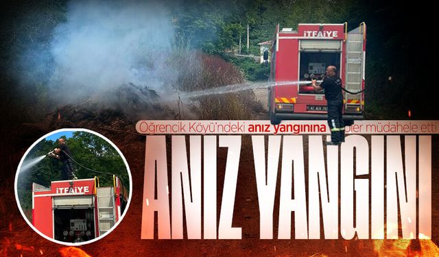 Kozlu’da anız yangını korkuttu: Ekipler seferber oldu
