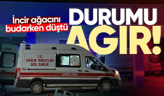 İncir ağacını budarken düştü: Durumu ağır