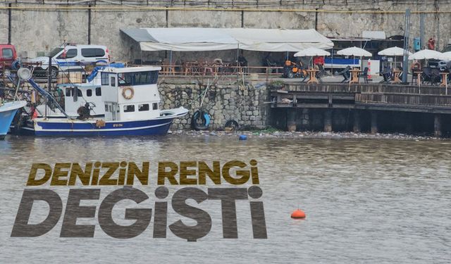 Derelerden akan çamur denizin rengini değiştirdi