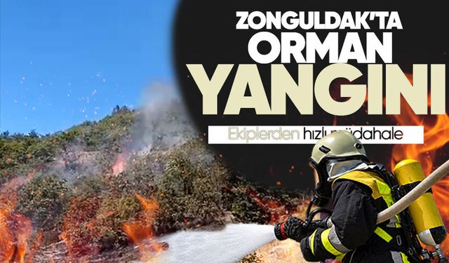 Zonguldak'ta orman yangını: Ekipler alevlerle mücadele ediyor