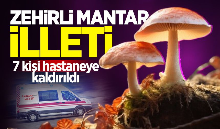 Kastamonu'da zehirli mantar illeti! 7 kişi hastaneye kaldırıldı