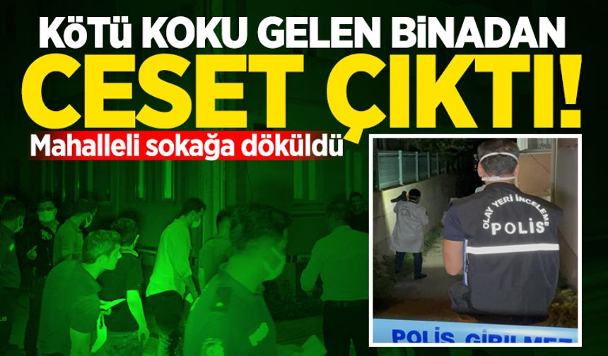 Kötü koku gelen binadan ceset çıktı! Mahalleli sokağa döküldü