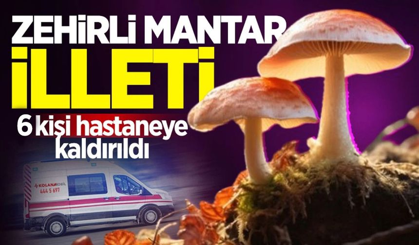 Mantardan zehirlenen 6 kişi hastanelik oldu