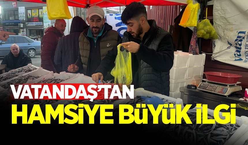 Zonguldak'ta fiyatı düşen hamsiye vatandaşlardan yoğun ilgi