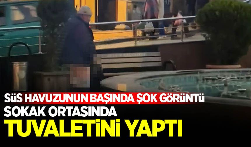 Sokak ortasındaki süs havuzuna tuvaletini yaptı