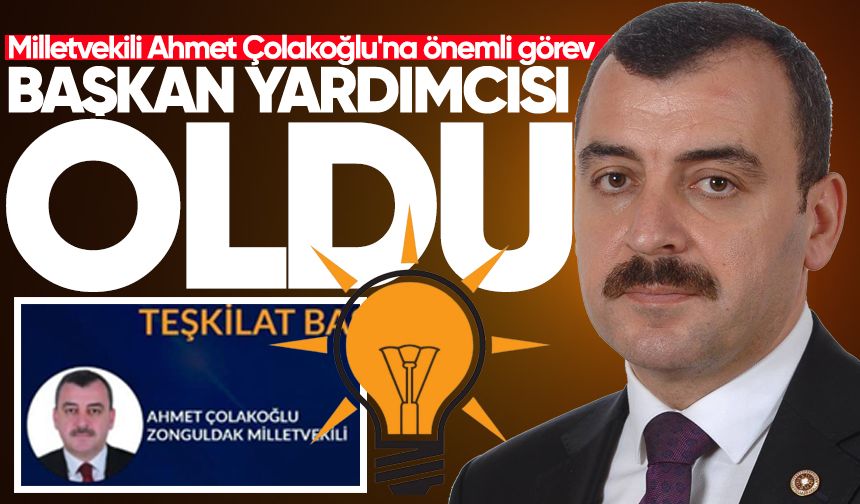 Milletvekili Ahmet Çolakoğlu'na AK Parti'den önemli görev