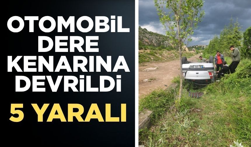 Kontrolden çıkan otomobil dere kenarına devrildi: 5 kişi yaralandı
