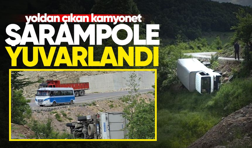 Kamyonet şarampole yuvarlandı