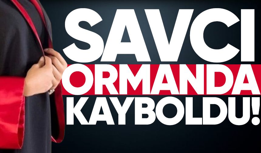 Cumhuriyet Savcısı ormanda kayboldu!
