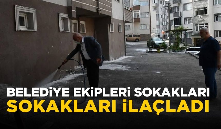 Belediye müdahale etti, tüm sokak boydan boya ilaçlandı